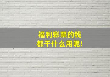 福利彩票的钱都干什么用呢!