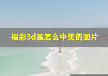 福彩3d是怎么中奖的图片