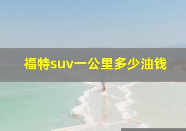 福特suv一公里多少油钱