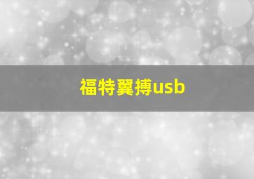 福特翼搏usb