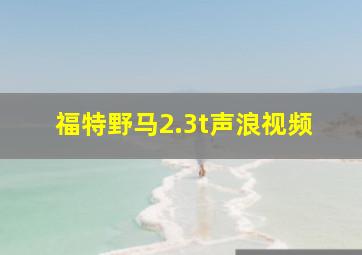 福特野马2.3t声浪视频