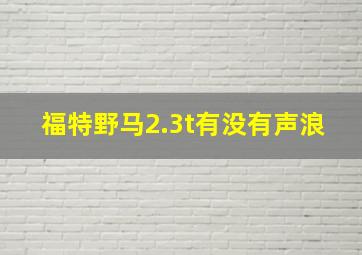 福特野马2.3t有没有声浪