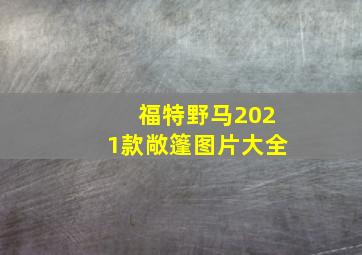 福特野马2021款敞篷图片大全