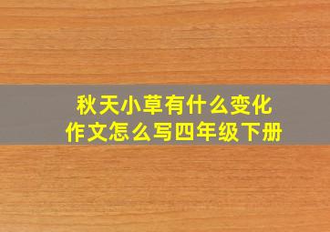 秋天小草有什么变化作文怎么写四年级下册