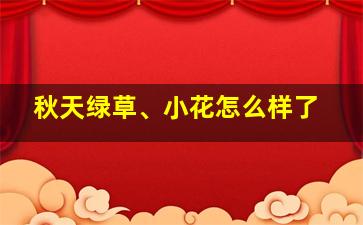 秋天绿草、小花怎么样了