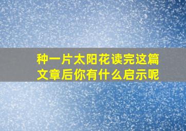 种一片太阳花读完这篇文章后你有什么启示呢