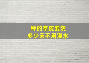 种的草皮要浇多少天不用浇水