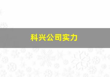 科兴公司实力