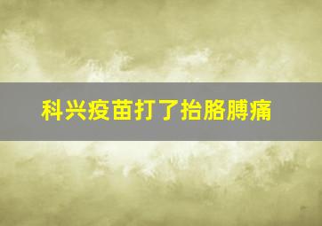 科兴疫苗打了抬胳膊痛