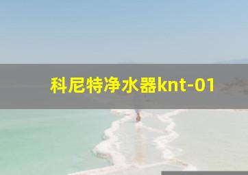 科尼特净水器knt-01