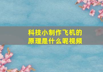 科技小制作飞机的原理是什么呢视频