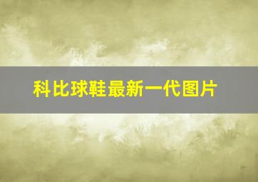 科比球鞋最新一代图片