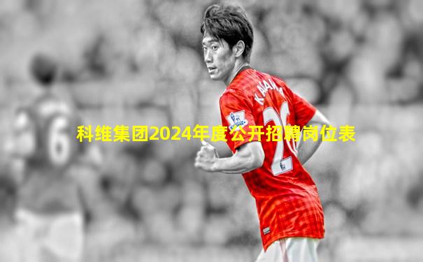 科维集团2024年度公开招聘岗位表