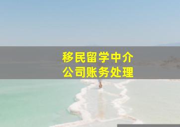 移民留学中介公司账务处理