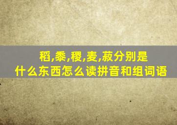 稻,黍,稷,麦,菽分别是什么东西怎么读拼音和组词语