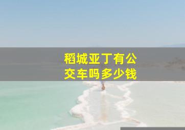 稻城亚丁有公交车吗多少钱