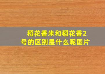 稻花香米和稻花香2号的区别是什么呢图片