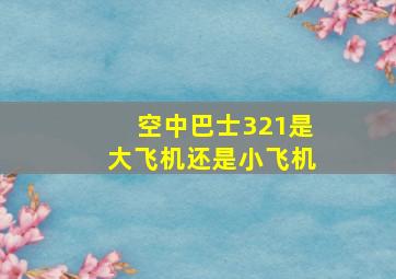 空中巴士321是大飞机还是小飞机