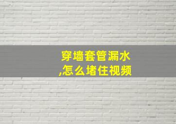 穿墙套管漏水,怎么堵住视频