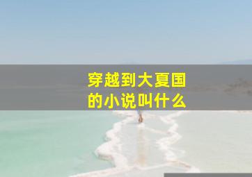 穿越到大夏国的小说叫什么