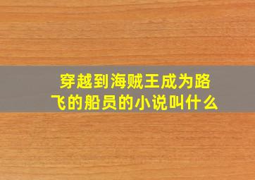 穿越到海贼王成为路飞的船员的小说叫什么