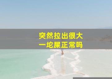 突然拉出很大一坨屎正常吗