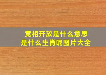 竞相开放是什么意思是什么生肖呢图片大全