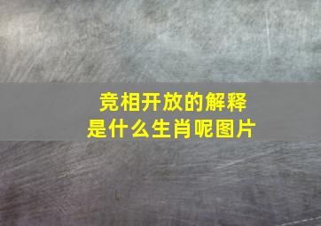 竞相开放的解释是什么生肖呢图片