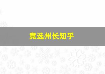 竞选州长知乎