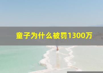 童子为什么被罚1300万