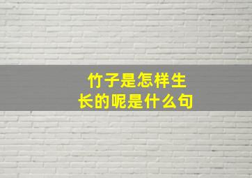 竹子是怎样生长的呢是什么句