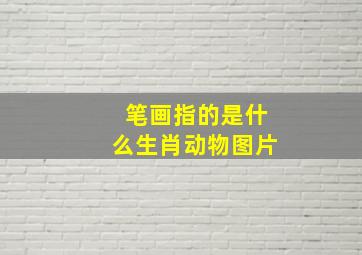 笔画指的是什么生肖动物图片