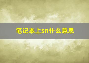 笔记本上sn什么意思