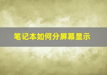 笔记本如何分屏幕显示