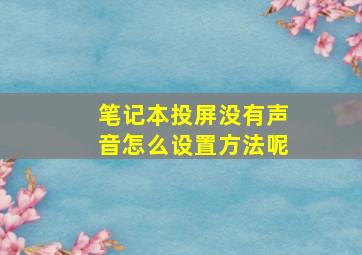 笔记本投屏没有声音怎么设置方法呢