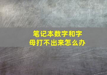 笔记本数字和字母打不出来怎么办