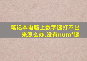 笔记本电脑上数字键打不出来怎么办,没有num*键