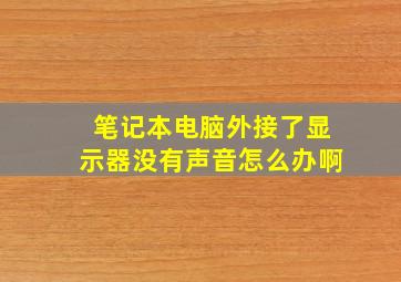 笔记本电脑外接了显示器没有声音怎么办啊