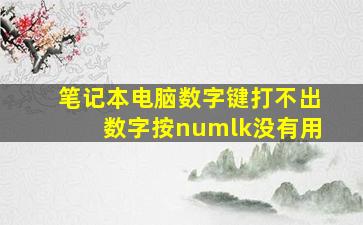 笔记本电脑数字键打不出数字按numlk没有用