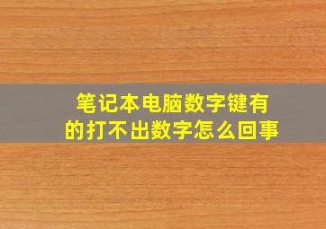 笔记本电脑数字键有的打不出数字怎么回事