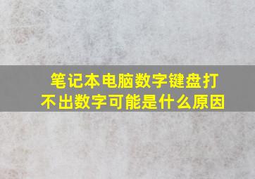 笔记本电脑数字键盘打不出数字可能是什么原因