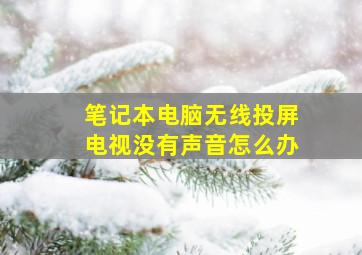 笔记本电脑无线投屏电视没有声音怎么办