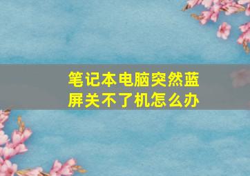 笔记本电脑突然蓝屏关不了机怎么办