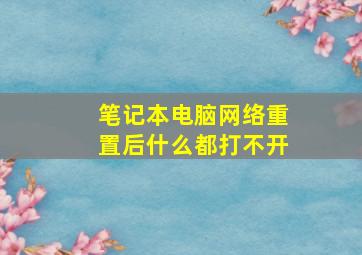 笔记本电脑网络重置后什么都打不开