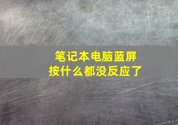 笔记本电脑蓝屏按什么都没反应了