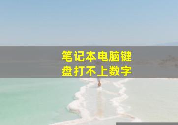 笔记本电脑键盘打不上数字