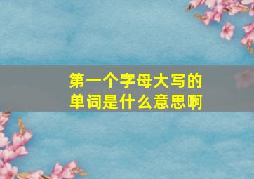 第一个字母大写的单词是什么意思啊