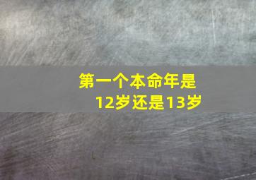 第一个本命年是12岁还是13岁