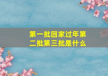 第一批回家过年第二批第三批是什么