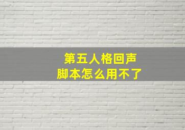 第五人格回声脚本怎么用不了